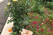 ویلا استخردار دوخواب در محمود آباد