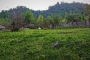 ویلا مبله تکخواب در ماسال