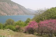 واحد طبقه همکف ویلا در ساری