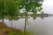 ویلا تکخواب مبله در بابل