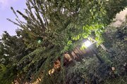 عمارت آرتین استخردار سرپوشیده  در چهارباغ