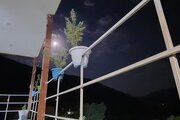 آپارتمان مبله تک خواب سزار اول در دورود
