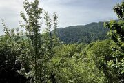 ویلا دو خواب جنگلی آبشار در تالش