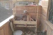 واحد طبقه اول رایکا در رستمکلا