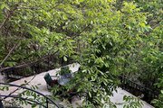 باغ ویلا دو خواب سارینا در کردان