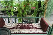 سوئیت کلبه برفی در دربندسر