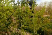 کلبه دوبلکس مبله دوخواب اِلین در ماسال