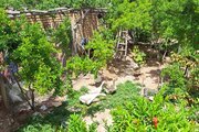 خانه باغ سنتی دوتخت 1 در بومگردی کاشان