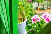 کلبه دوطبقه جنگلی پارسا در تالش