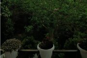 سوئیت طبقه دوم در چابکسر