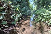 آپارتمان مبله تک خواب آرش در کوچصفهان