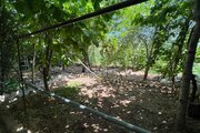 آپارتمان مبله 2 خواب در الموت
