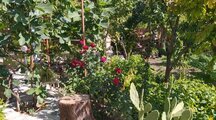 اجاره خانه ویلایی استخردار در تبریز