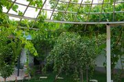 باغ ویلا سه خواب استخردار آبی در گلبهار