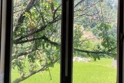 ویلا دوخواب مبله بنیامین در اسالم
