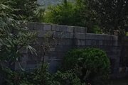 خانه ویلایی دوبلکس نرگس در ماسال