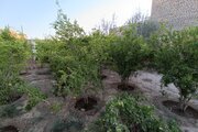خانه باغ نوساز در کاشان