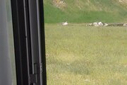 ویلا دو خوابه در مشگین