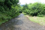 کلبه جنگلی آرامش تکخواب در تالش سراگاه