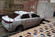 آپارتمان مبله دو خواب در شیراز