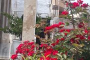 ویلا دوخواب ساحلی غریبی در پره سر