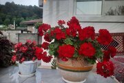 واحد دوخواب در طبقه اول ویلای ماسال