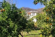 ویلا دوبلکس مبله چهار خواب عمارت سبز در فومن