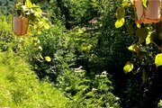 کلبه سوئیسی دوبلکس دوخواب تی تی در ماسال