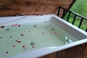 کلبه سوئیسی دوبلکس جکوزی دار مبله دوخواب در رشت