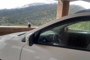 آپارتمان مبله دوبلکس دوخواب جکوزی دار در سوادکوه