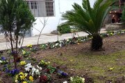 ویلا دوخوابه آویژه در بندر انزلی