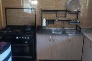 کلبه جنگلی تکخواب تیما در بابل