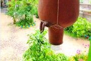 کلبه دوطبقه جنگلی پارسا در تالش