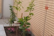 آپارتمان مبله دوخواب فواد در کاشان