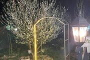 کلبه سوئیسی دوبلکس دوخواب خاتون در لاهیجان