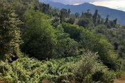 سوئیت روستایی ترنج در طبقه همکف ویلا رودبار