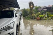 ویلا دو خواب در چالوس