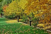 ویلا استخردار مبله دوخواب دورهمی در کردان