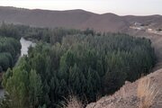 آپارتمان مبله دو خواب استخردار در باغ بهادران