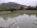 کلبه سوئیسی دوبلکس 3 خواب در ماسال