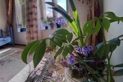 خانه ویلایی دو خواب مبله در مشگین