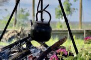 باغ ویلا سه خواب مبله در سوادکوه