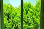 ویلا دوبلکس دوخواب مبله تشبندان در محمودآباد