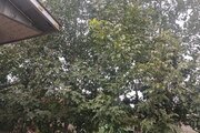 ویلا باغ مبله دوخواب در ماسال