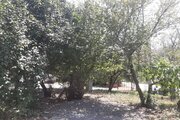سوئیت باغ ابراهیمی در ماسال