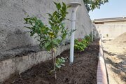 خانه ویلایی تکخواب مبله در گمیشان بندر ترکمن