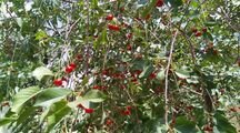 آپارتمان دو خواب در دنا 2