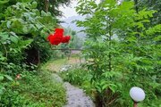 ویلا دوبلکس استخردار سه خواب در ماسال