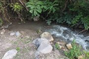 آپارتمان تکخواب ستاره ( لب رودخانه) در مرزن آباد