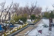 باغ ویلا استخرآبگرم دوخواب مبله در شهریار